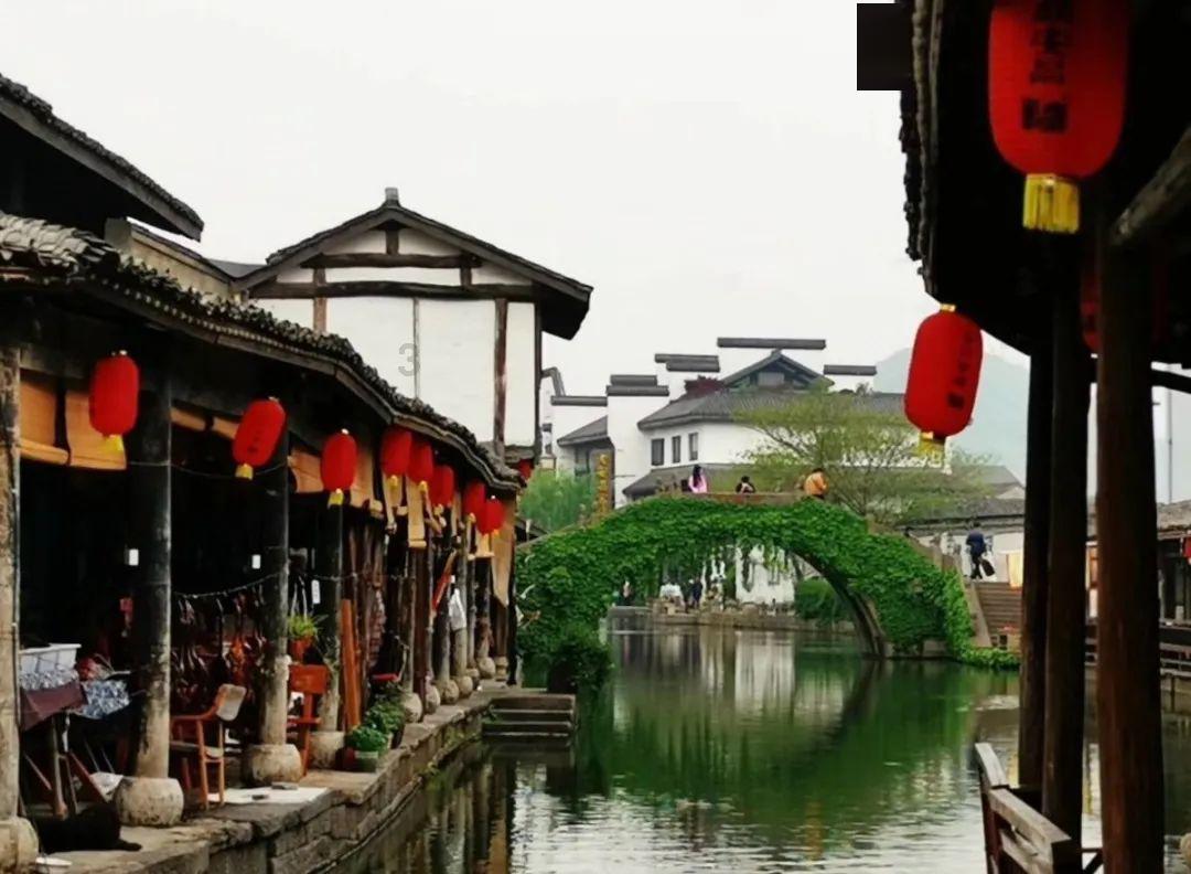 不同种类的酱油、醋有什么不一样？4个小窍门教你快速挑选调味料