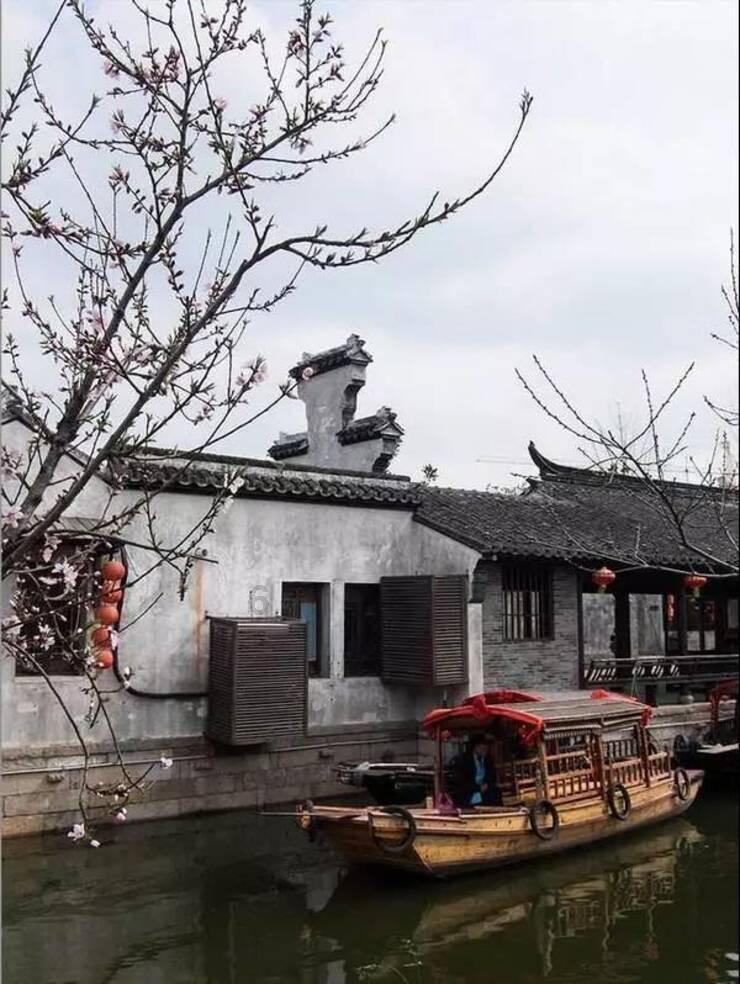 两会新视野｜杨宝玲：农业生产要种出“商品” 乡村振兴要打造“三园”